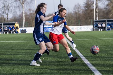 Bild 47 - wBJ Hamburger SV - Hertha BSC : Ergebnis: 2:1
